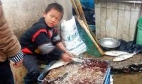 17岁网红男孩“杀鱼弟”喝下剧毒农药自杀背后故事令人心酸